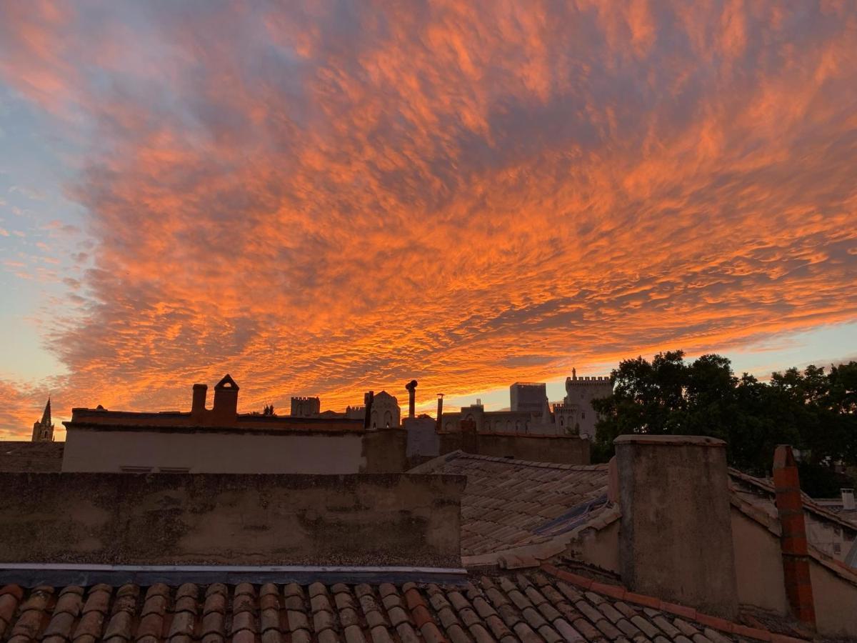 Superbe Appartement Intramuros Avignon Eksteriør billede